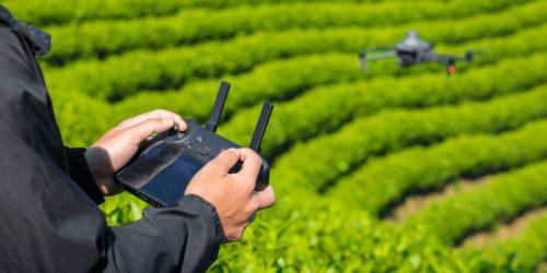 Arazi Yapısı Analizi