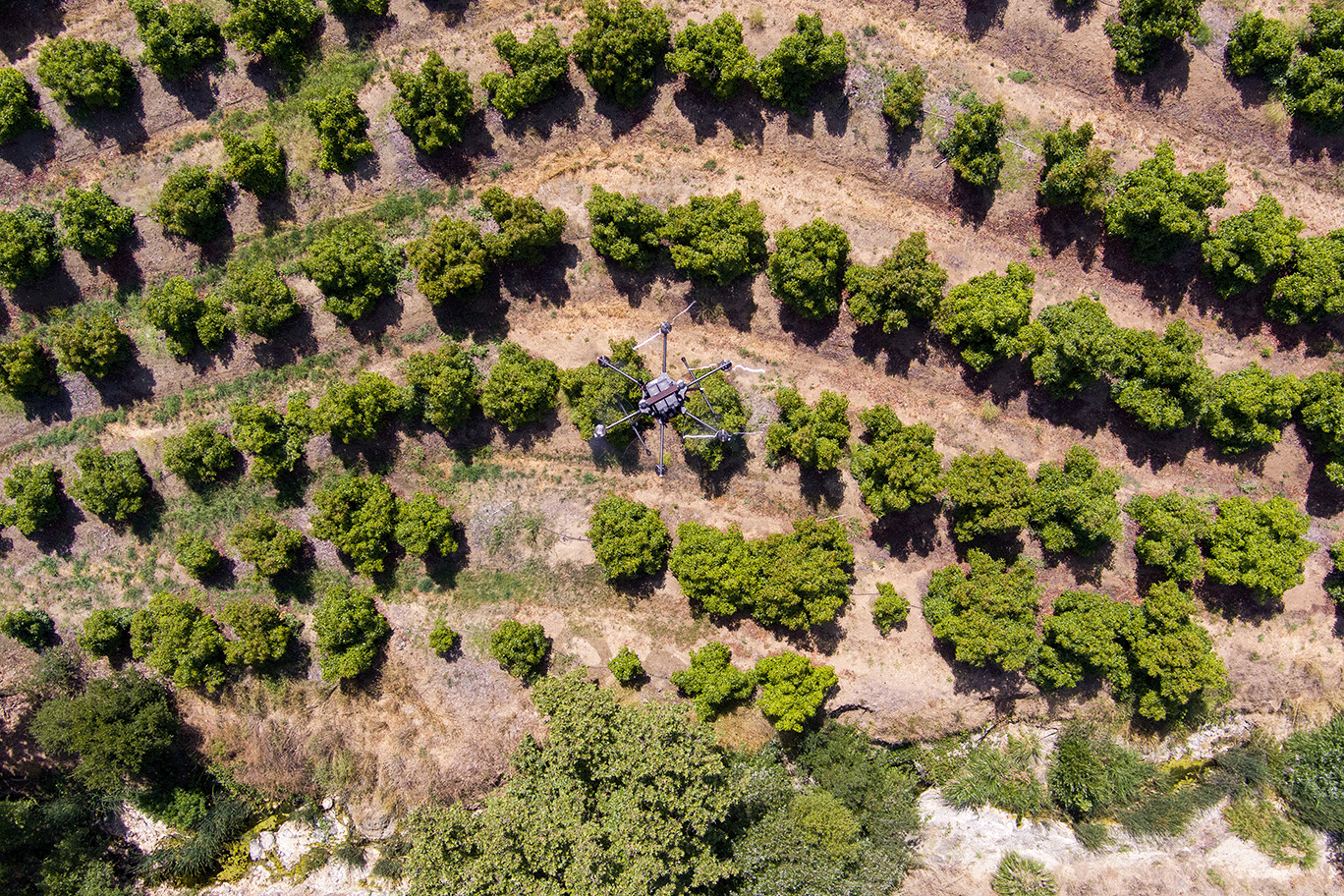 Fotogrametri Haritalama